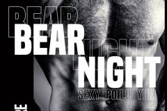 bearNIGHT